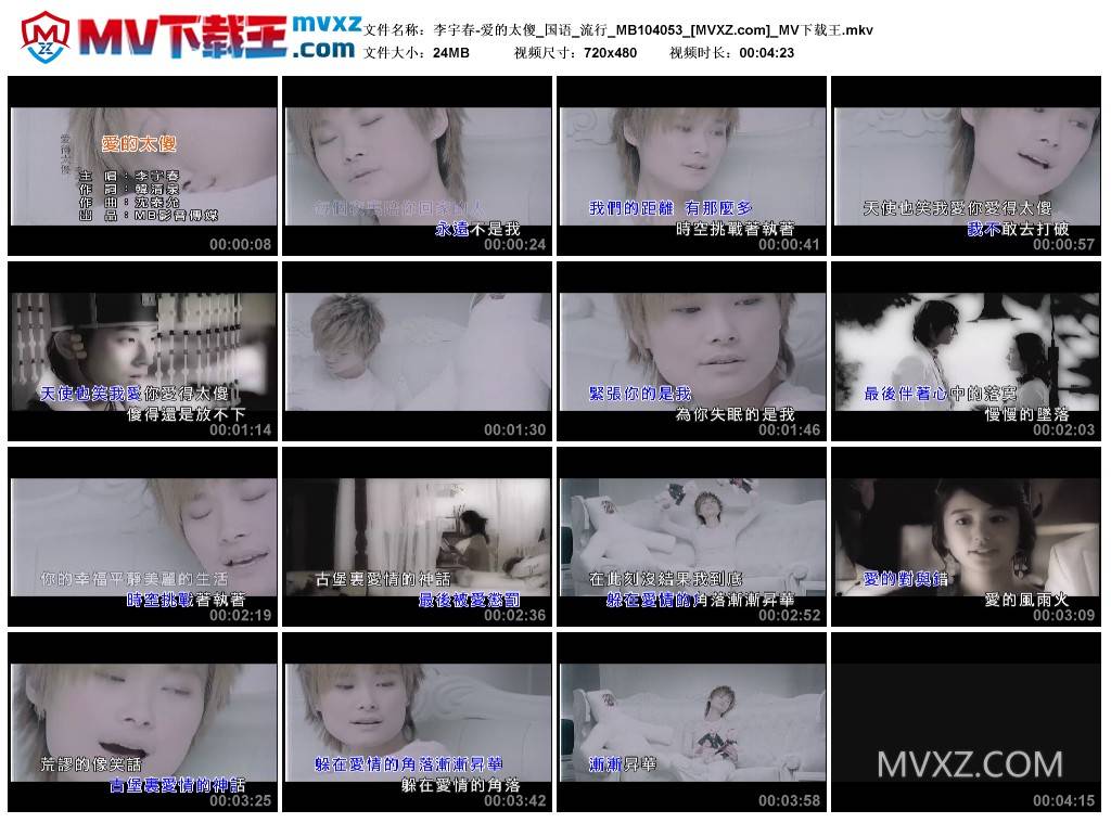 李宇春-爱的太傻_国语_流行_MB104053